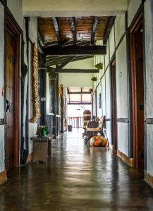 萨兰托Coffee Tree Boutique Hostel的一座带木制天花板的建筑里空的走廊