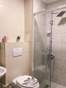 普里什蒂纳Orion Apartment 1的一间带卫生间和玻璃淋浴间的浴室