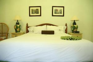 库埃纳瓦卡乐斯特拉瑟斯博尼塔别墅酒店的一间卧室配有一张带两盏灯的大型白色床。