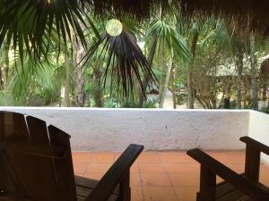 图卢姆比奥莱塔酒店的两把椅子坐在棕榈树墙前