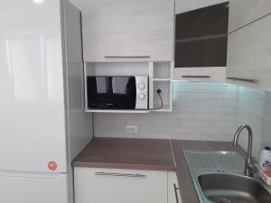 纳尔瓦LBE apartments的带微波炉和水槽的小厨房