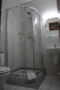 斯通克维兹吕根岛庄园酒店的带淋浴、卫生间和盥洗盆的浴室