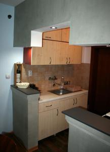贝尔格莱德Fenix Cvetni trg的厨房配有水槽和台面