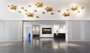 列克星敦列克星敦21c博物馆酒店的一个人在博物馆里漫步,墙上挂着猪