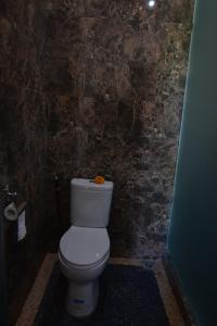 贝都古Wanagiri Cosmic Nature Villa的一间带卫生间和石墙的浴室