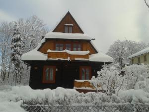 扎科帕内德瓦伊迪斯别墅酒店的围栏前的雪覆盖的房子