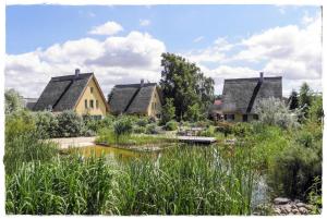 朗克维茨Reetdachhaus mit Schwimmteich in Krienke的一群房子,在院子里有池塘