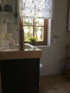 沃尔肯施泰因Villa Maxenstein的一间带水槽和窗户的浴室