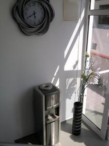 阿赫托波尔Krai Moreto Guest House的花瓶旁边的墙上的钟,花瓶上有植物