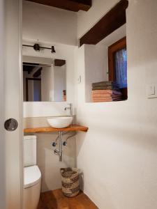 克拉尔夫斯Casa de la Font de Dalt的一间带水槽、卫生间和镜子的浴室