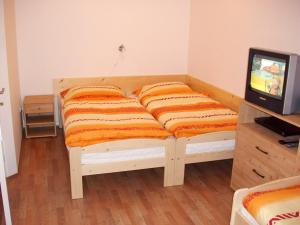 Apartmány Karlov pod Pradědem客房内的一张或多张床位
