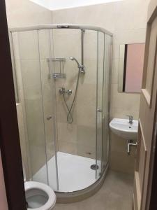 比尔森Penzion malých pivovarů的带淋浴、卫生间和盥洗盆的浴室