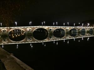 图卢兹CHAMBRE SPACIEUSE DANS MAISON ART DECO au CENTRE DE TOULOUSE的夜间水面上的桥梁,灯火通明