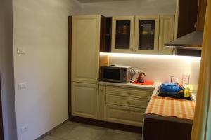 斯波尔马焦雷Appartamento Tenaglia的厨房的台面上配有微波炉