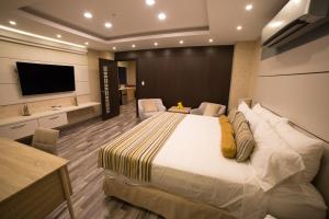 巴拿马城奥霍斯德尔里奥酒店的一间卧室配有一张大床和一台平面电视