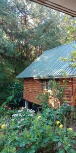 努沃勒埃利耶沐恩普莱斯森林小木屋的花园中带金属屋顶的小木屋
