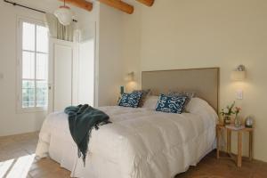 卢汉德库约Villa Trinidad Guesthouse的卧室配有带蓝色枕头的大型白色床