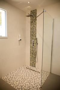 皮耶尔拉特乐多门蒂斯奥利克斯酒店的带淋浴的浴室和玻璃门
