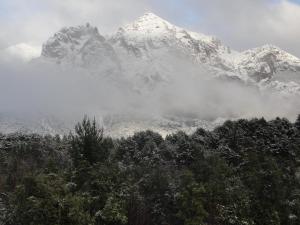 圣卡洛斯-德巴里洛切Ailín Maiá Apartamentos Casa de Montaña的山地的雪覆盖着树木