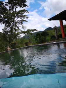San MiguelLos Gallitos Eco Lodge的房屋前的游泳池