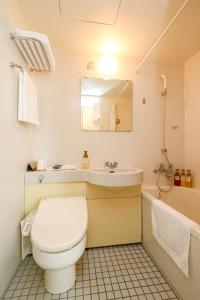岐阜韦尔吉赞大酒店的一间带卫生间、水槽和镜子的浴室