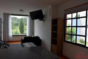 波特雷罗德洛斯弗内斯Posada Valle del Sol的一间卧室配有一张床、一台电视和两个窗户。