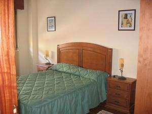 圣维森特-德拉巴尔克拉EN PLAYA SAN VICENTE DE LA BARQUERA的一间卧室配有一张带绿色棉被的床