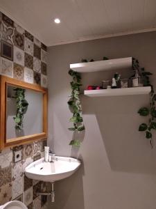 梭罗Shofiya Guesthouse Solo的墙上设有带水槽和植物的浴室