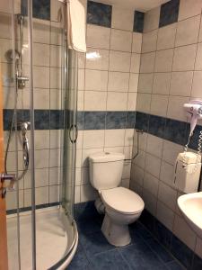 布达佩斯维瑞塔斯酒店的浴室配有卫生间、淋浴和盥洗盆。
