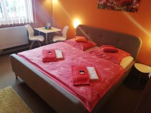 弗兰季谢克矿泉镇3号旅馆的一间卧室配有一张带粉色床单和一张桌子的床。