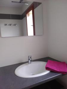 SeigyGite Du Moulin Du Vivier的浴室水槽配有镜子和粉红色毛巾