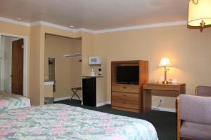 圣拉斐尔别墅客栈的酒店客房配有一张床、一张书桌和一台电视。