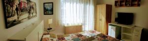泰基尔吉奥尔Villa Sanitas的客房设有一张床和带电视的窗户。
