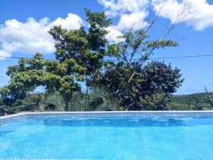 布希奥斯Reduto do Alto的一座树木环绕的游泳池