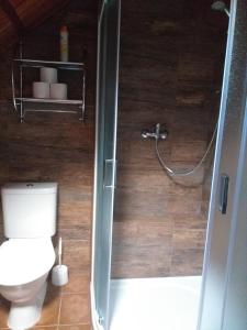 莫德拉瓦Pension Arnika的带淋浴、卫生间和盥洗盆的浴室
