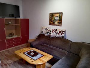 兹拉蒂博尔Guesthouse Ramović的带沙发和咖啡桌的客厅
