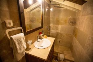 巴尔Villa Irma的一间带水槽和淋浴的浴室