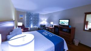 格林斯伯勒格林斯伯勒/地标中心戴斯酒店的配有一张床和一台平面电视的酒店客房