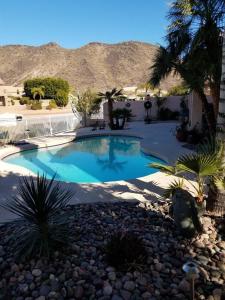 格伦代尔Glendale Arizona Lakeside Property的一座游泳池,位于一个拥有岩石和棕榈树的庭院内