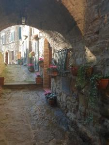 特拉西梅诺湖畔帕西尼亚诺casa vacanze passignano的石头建筑中种有盆栽的小巷