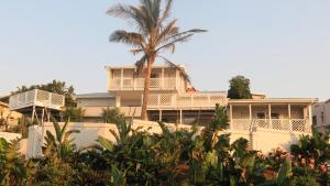 巴利托Fairview Guesthouse的前面有棕榈树的建筑