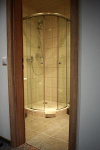 巴特德里堡厄歇尔酒店的浴室里设有玻璃门淋浴
