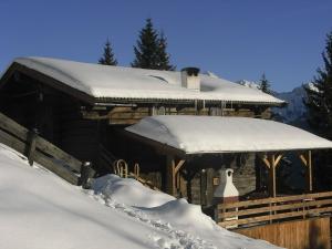 阿尔卑巴赫Hütte - Ferienhaus Bischoferhütte für 2-10 Personen的小木屋顶部有雪