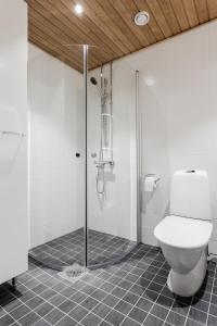奥卢Apartment Station的带淋浴和卫生间的浴室。