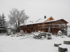 布劳莫夫Farma Wenet的一座大木屋,地面上积雪