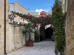 LizzanelloCeli Blu Appartamento的一条在地板上种着红色花的小巷和一条隧道