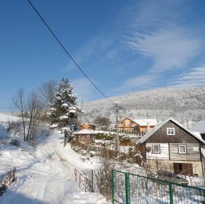SłotwinyDomek nad Potokiem的一座有雪盖的村庄,有房子和栅栏