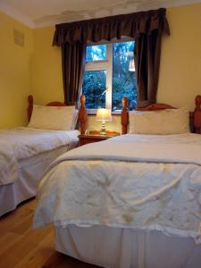 戈尔韦Corrib View Guesthouse h91rr72的卧室设有两张床,带窗户