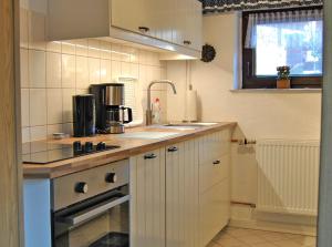 马尔肖Ferienwohnung Malchow SEE 8241的一间带水槽和微波炉的小厨房