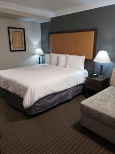 伯班克伯班克波托菲诺酒店的酒店客房带一张大床和一把椅子
